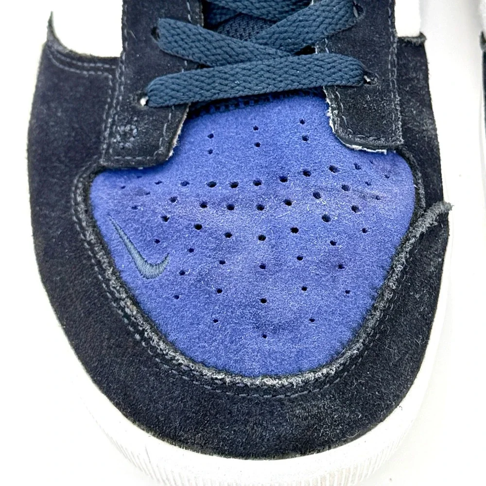 Nike sb force